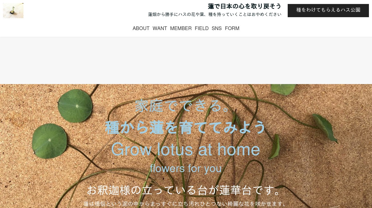 ハスの種から蓮を育てる方法