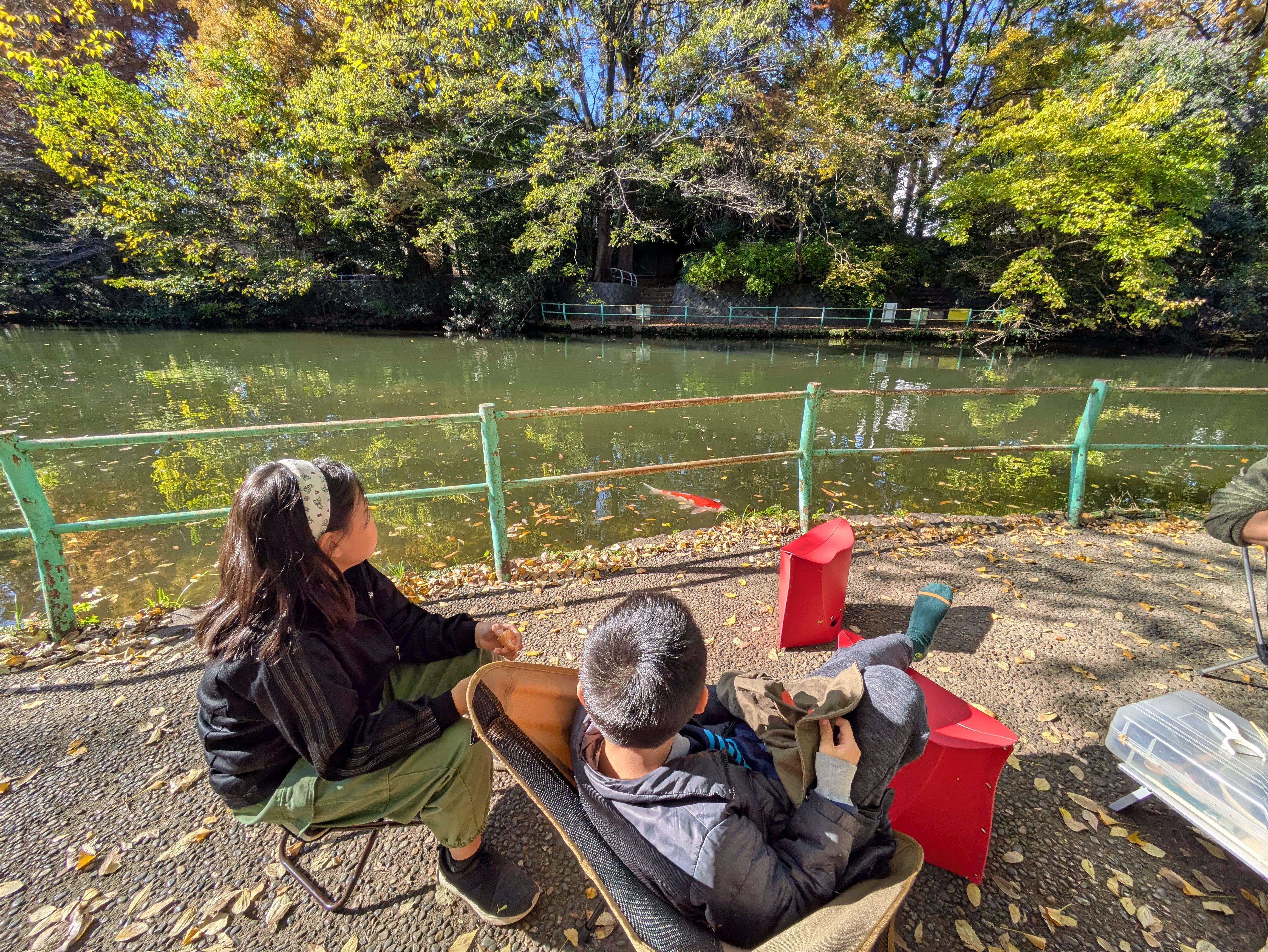 連れ去り　離婚　面会交流　弁護士　