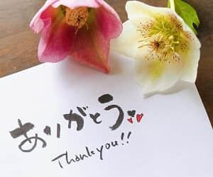 リピートされるとやはり嬉しいです。