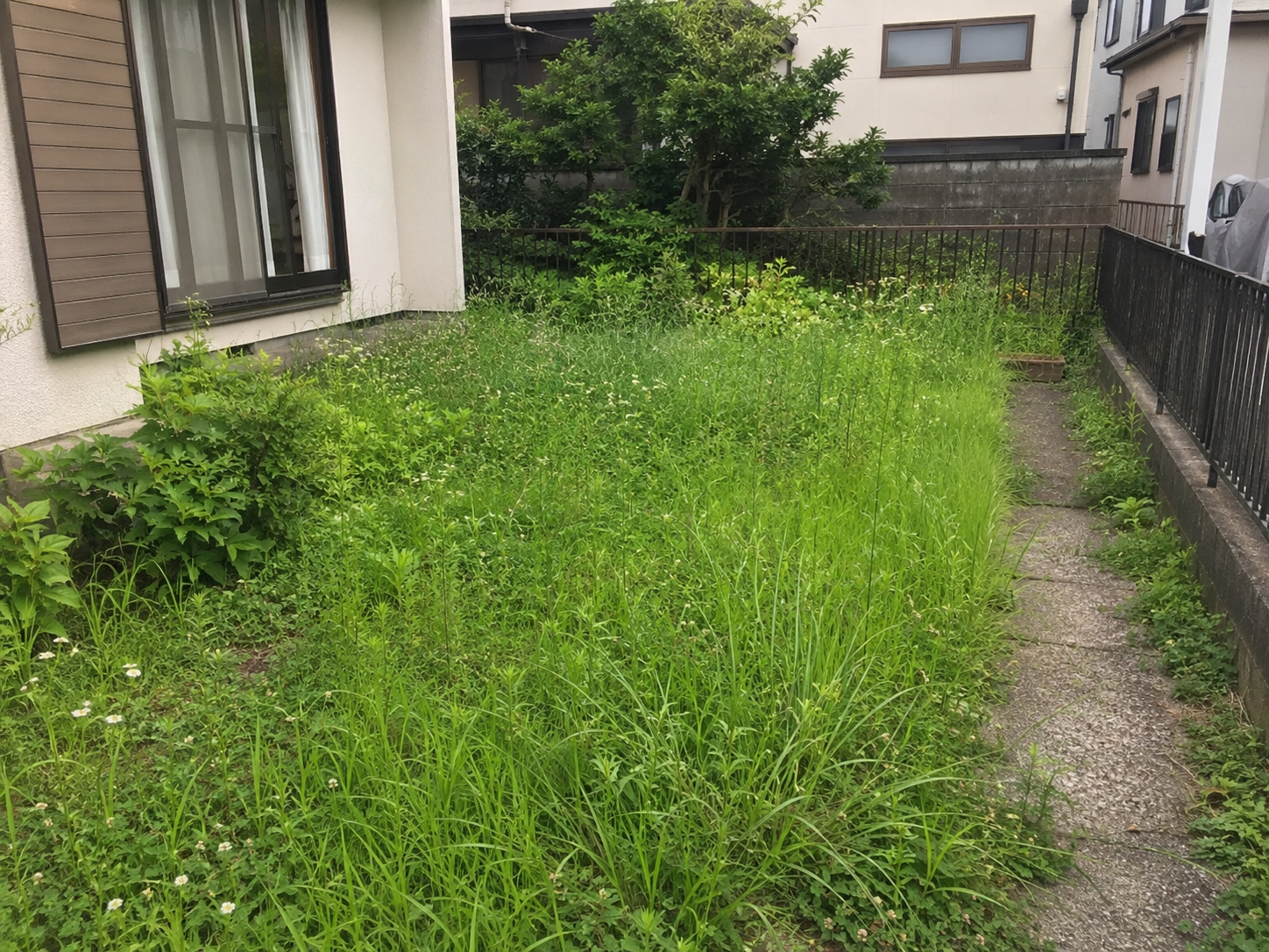 戸建ての草刈り