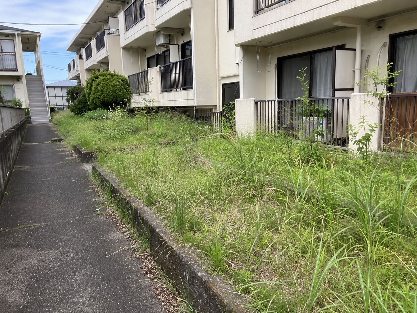 アパート共用部の草刈り