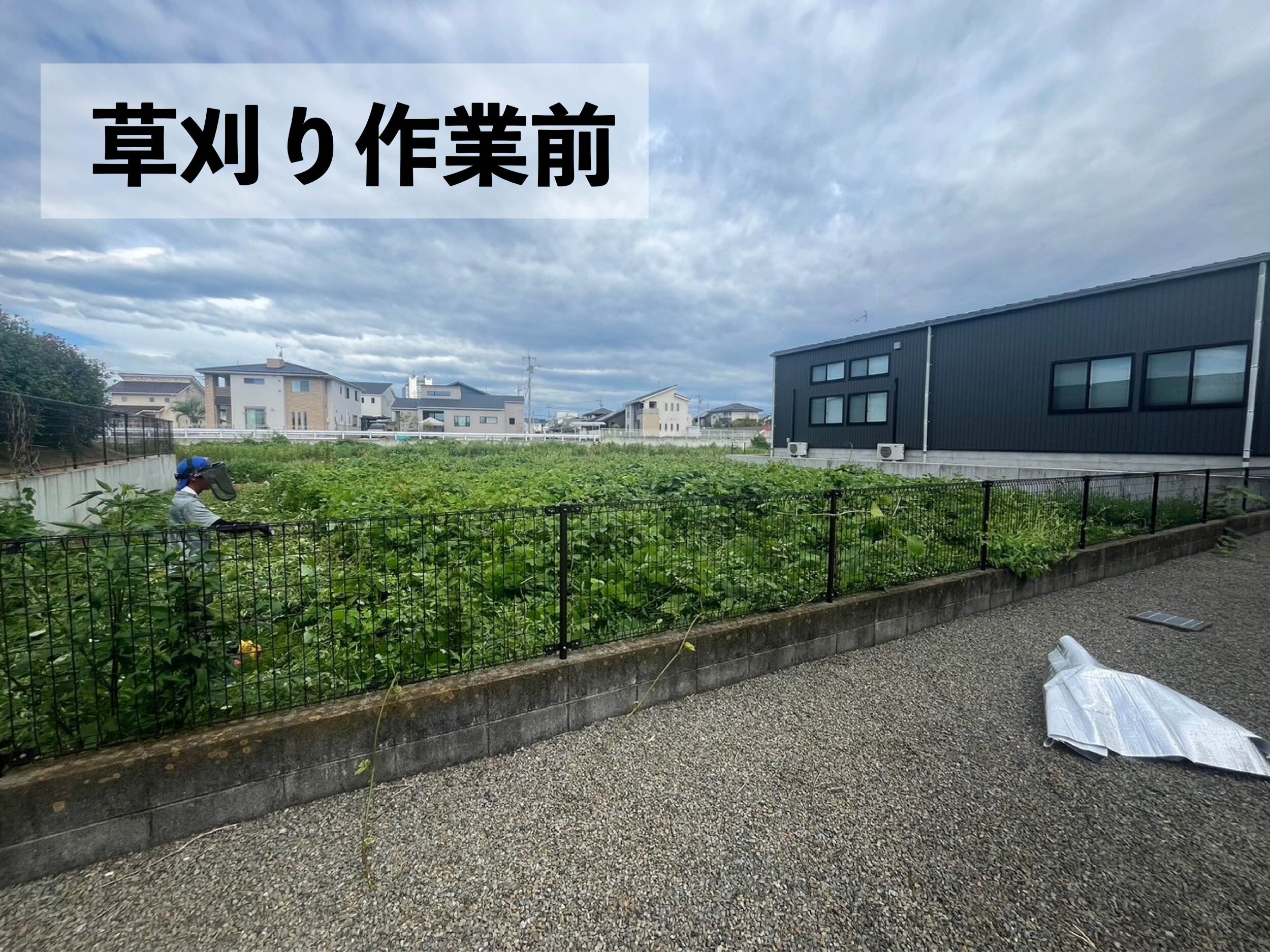 草刈り前の画像
