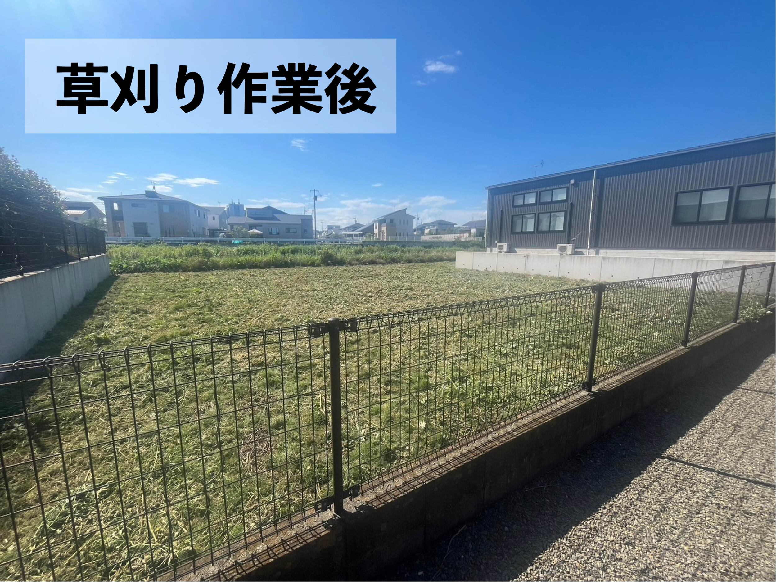 草刈り後の画像