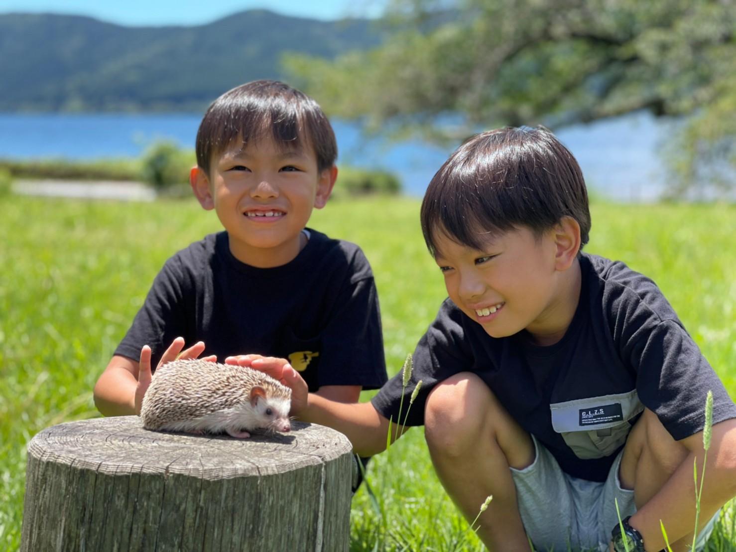 だっこして！ZOO! でハリネズミにふれる