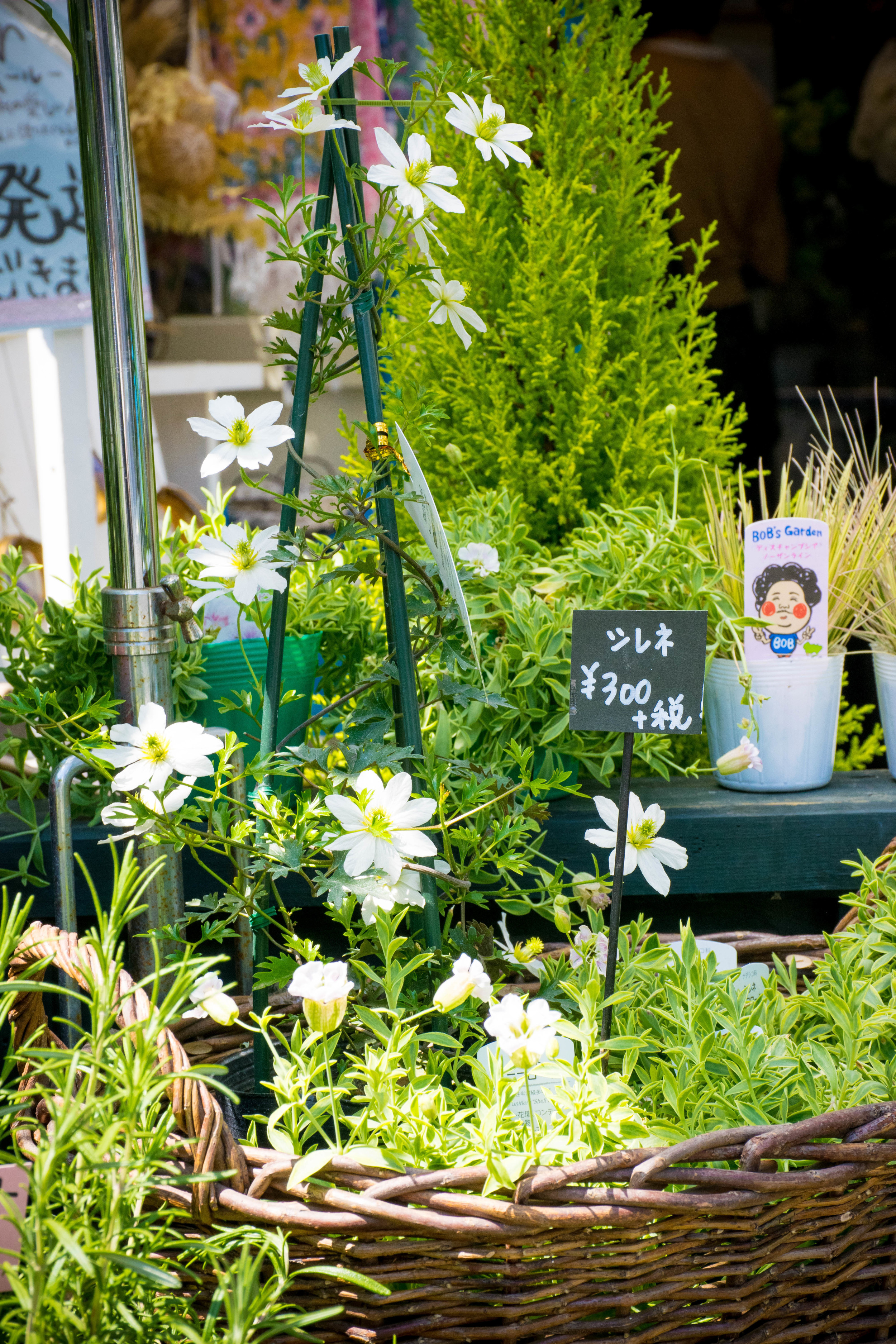 国立の花と雑貨屋さん Mon Amour モナムール