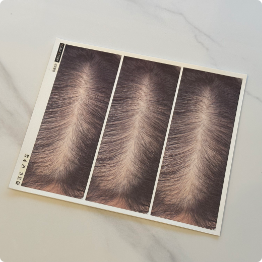 人工皮膚（頭皮印刷）シート（1枚）の商品画像