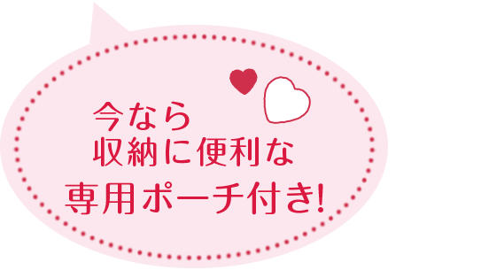 今なら収納に便利な専用ポーチ付き!