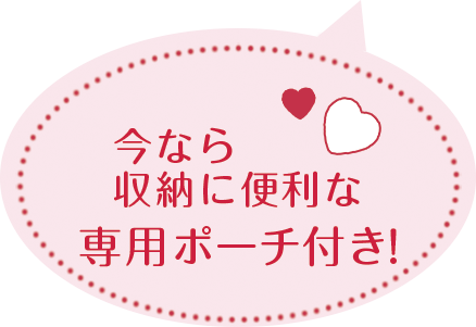 今なら収納に便利な専用ポーチ付き!