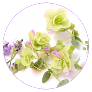 感情までも解きほぐすテラヘルツカッサ 島根県松江市サロン花水木