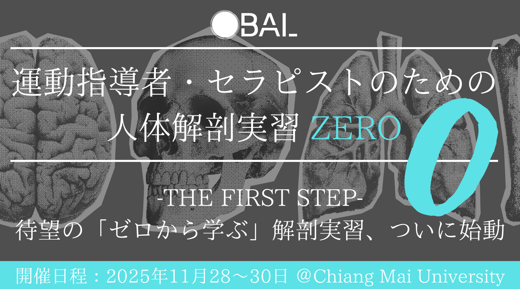 運動指導者・セラピストのための人体解剖実習 ZERO -0-｜BAL主催セミナー
