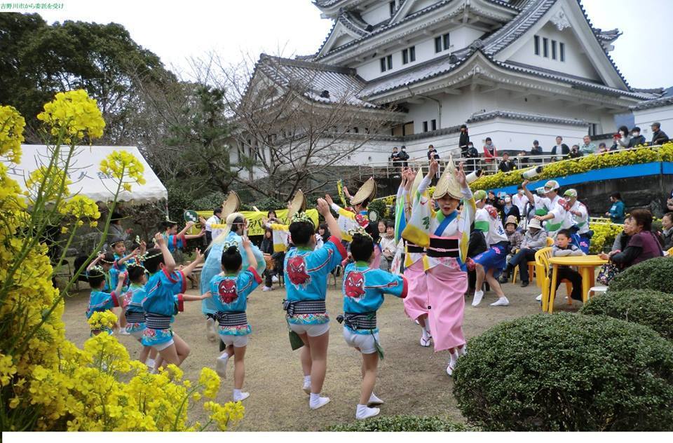 徳島県吉野川市川島町・菜の花フェスタ