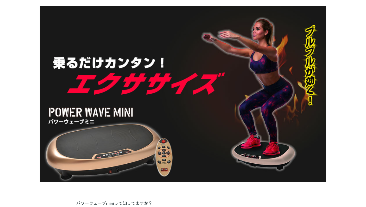 パワーウェーブミニ(POWER WAVE MINI) 【公式通販】