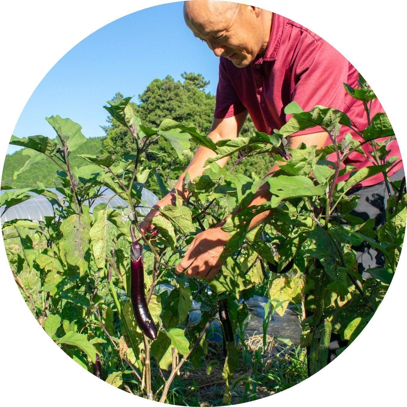 有機農業の知識