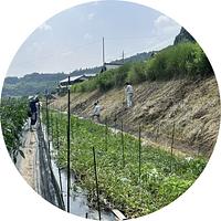 獣害対策の知識