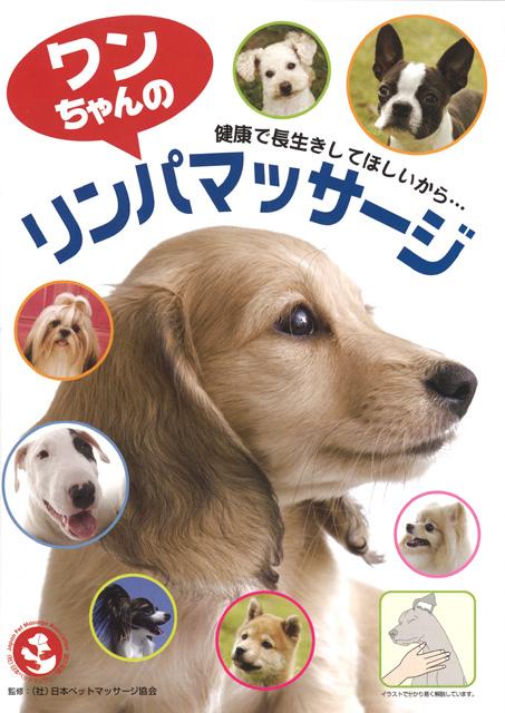 ワンちゃんのリンパマッサージの商品画像
