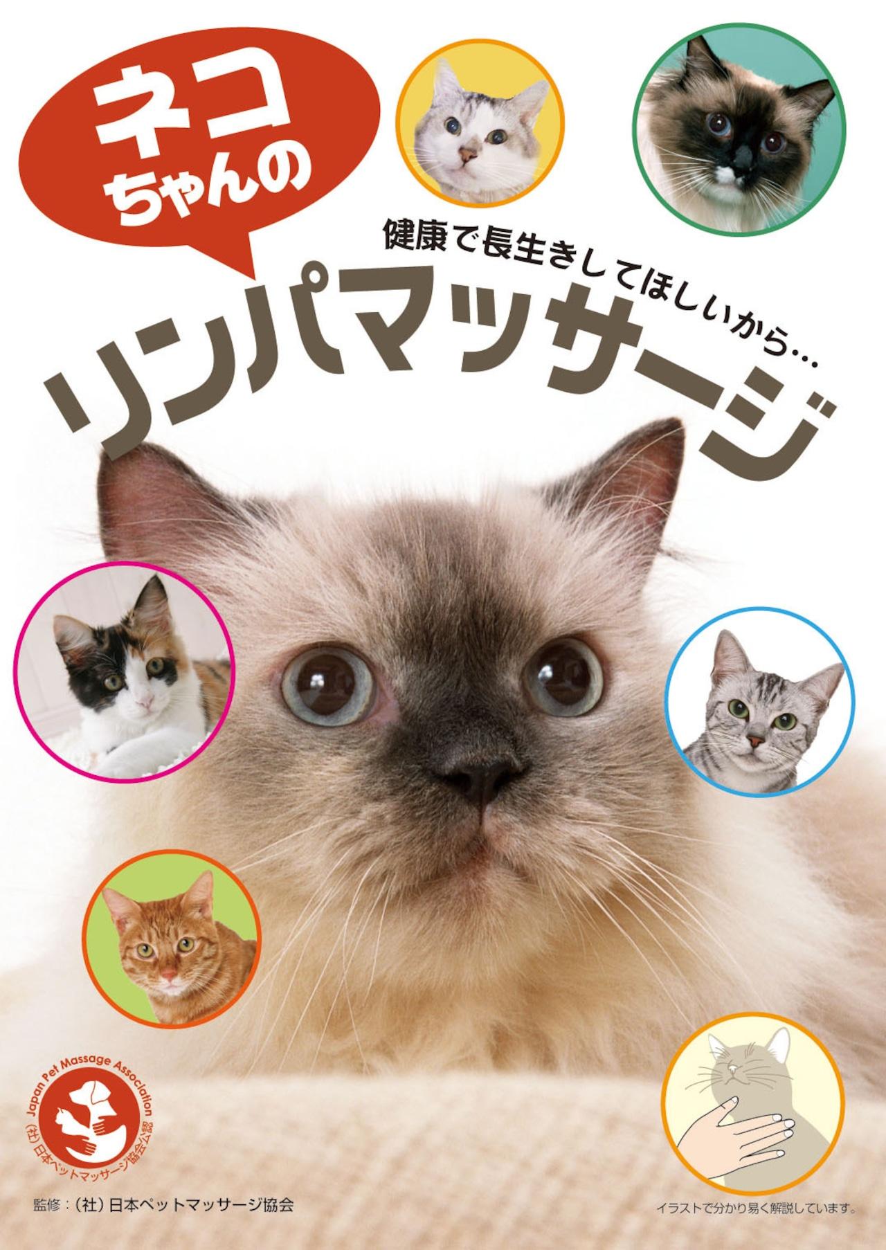 ネコちゃんのリンパマッサージの商品画像