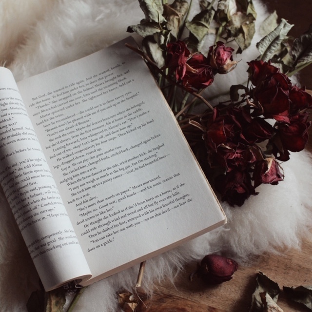 耽美と狂気 薔薇と逸脱ルテティアに咲く薔薇