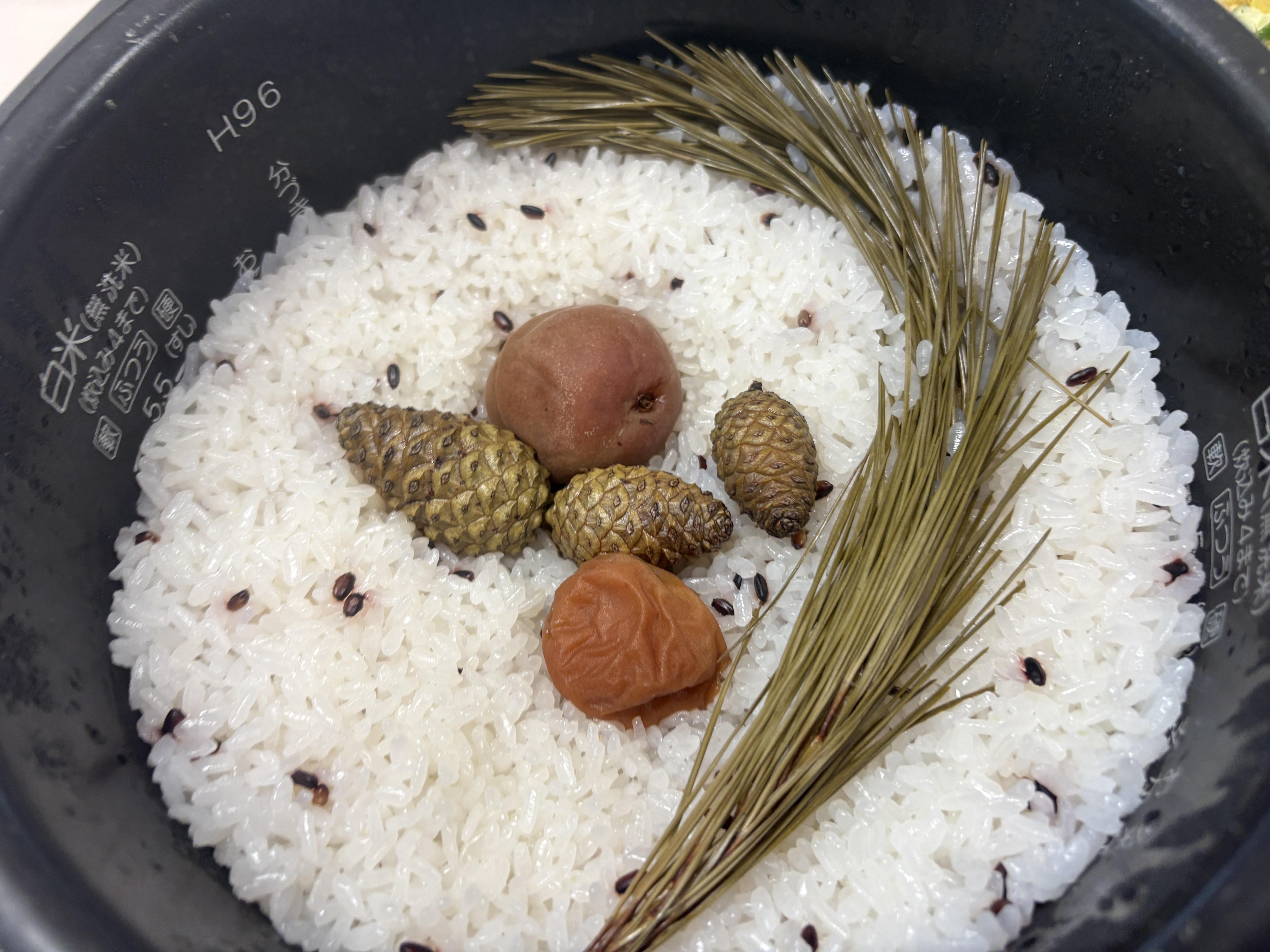 マツごはん