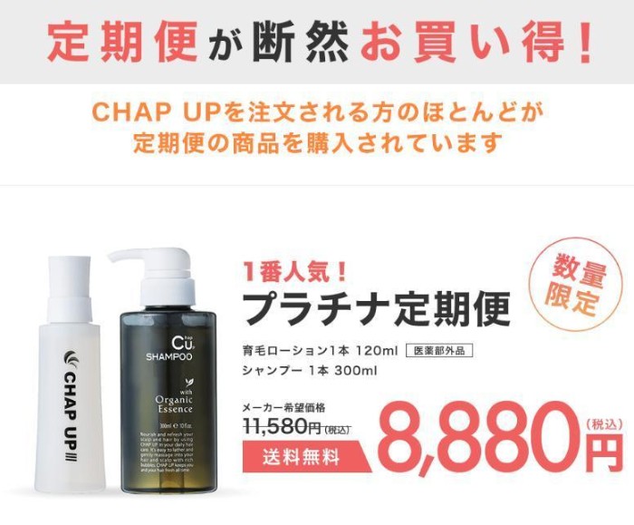 チャップアップ サンプル