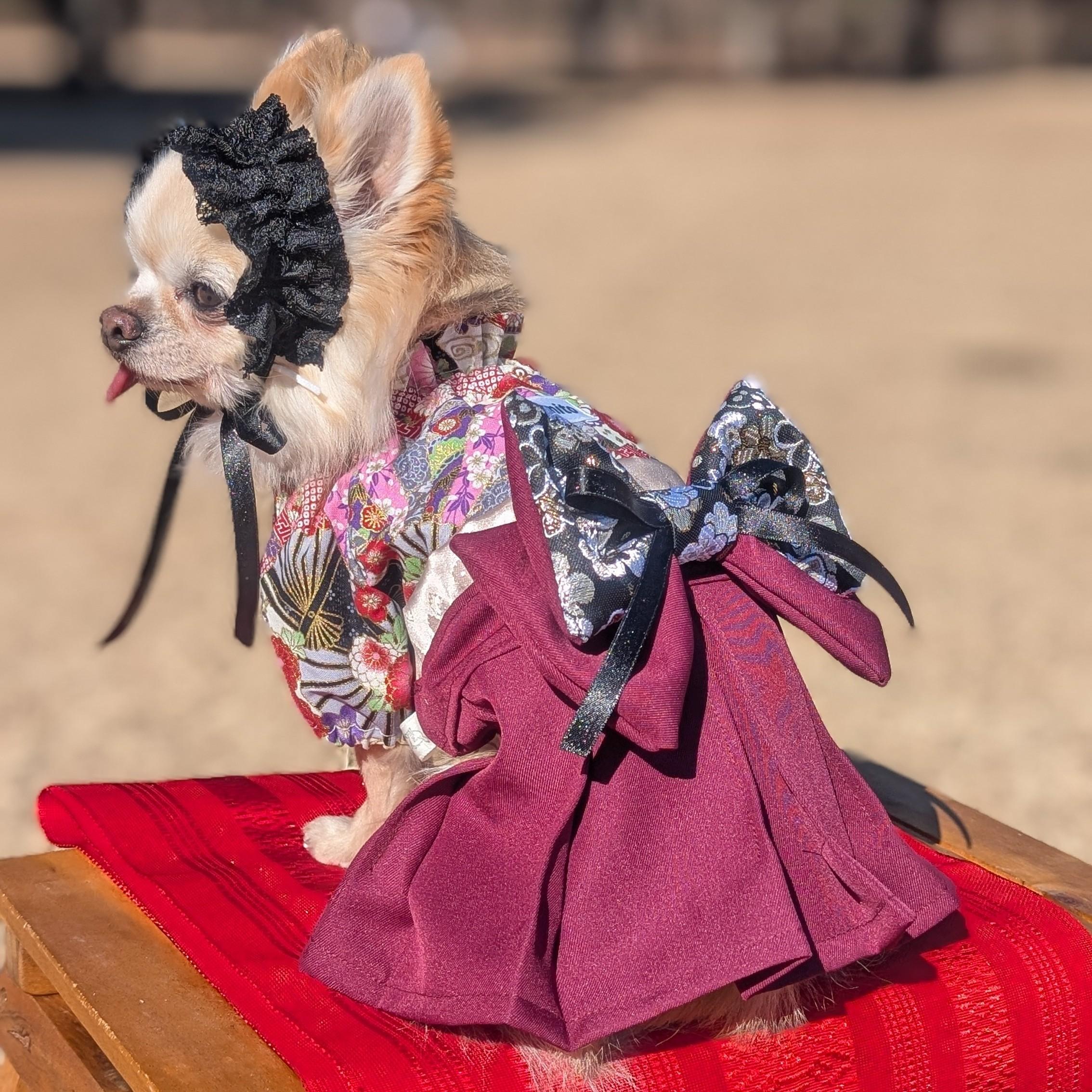 レースカチューシャBlackの商品画像