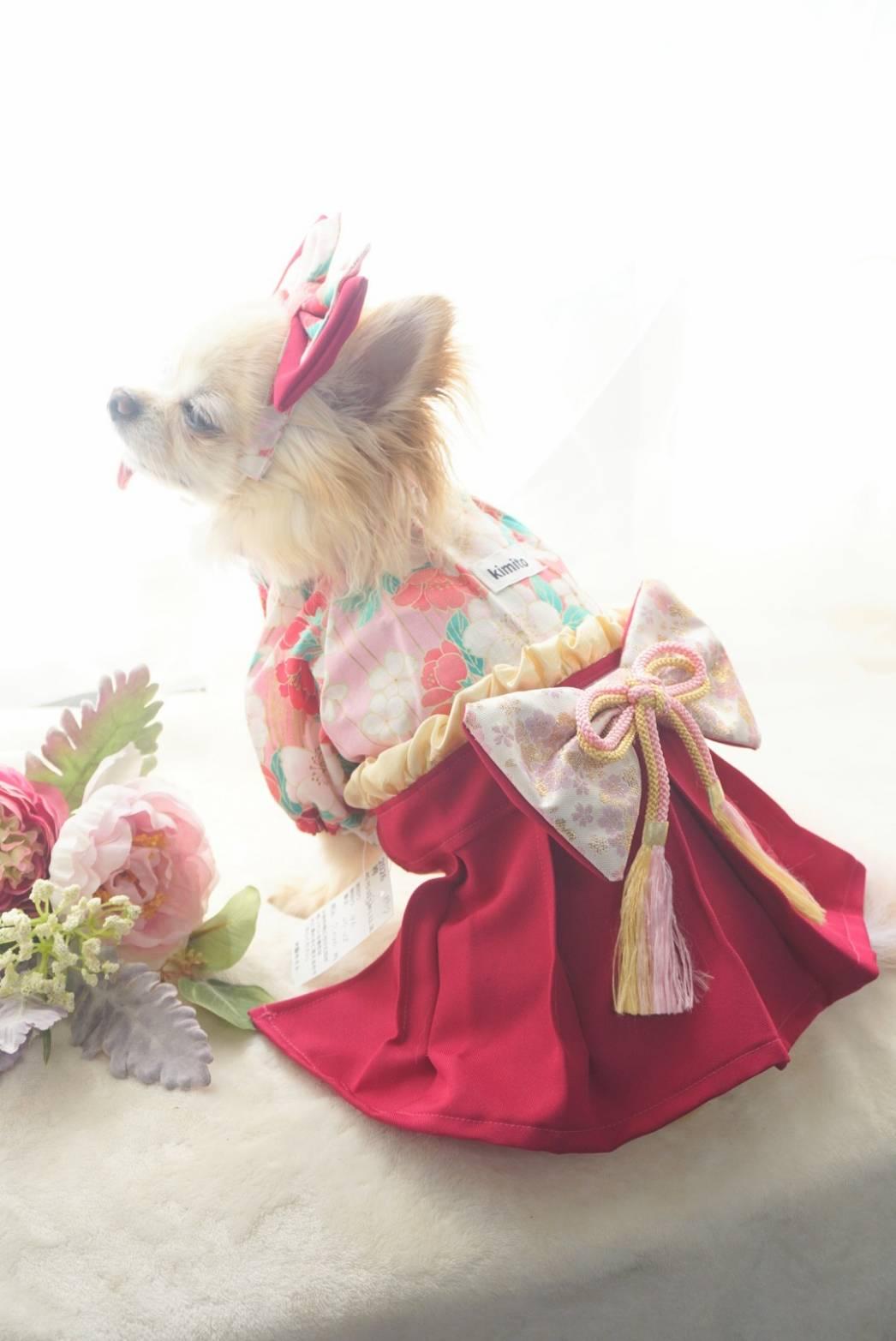 2026チュニック型わんこの袴 Pinkの商品画像