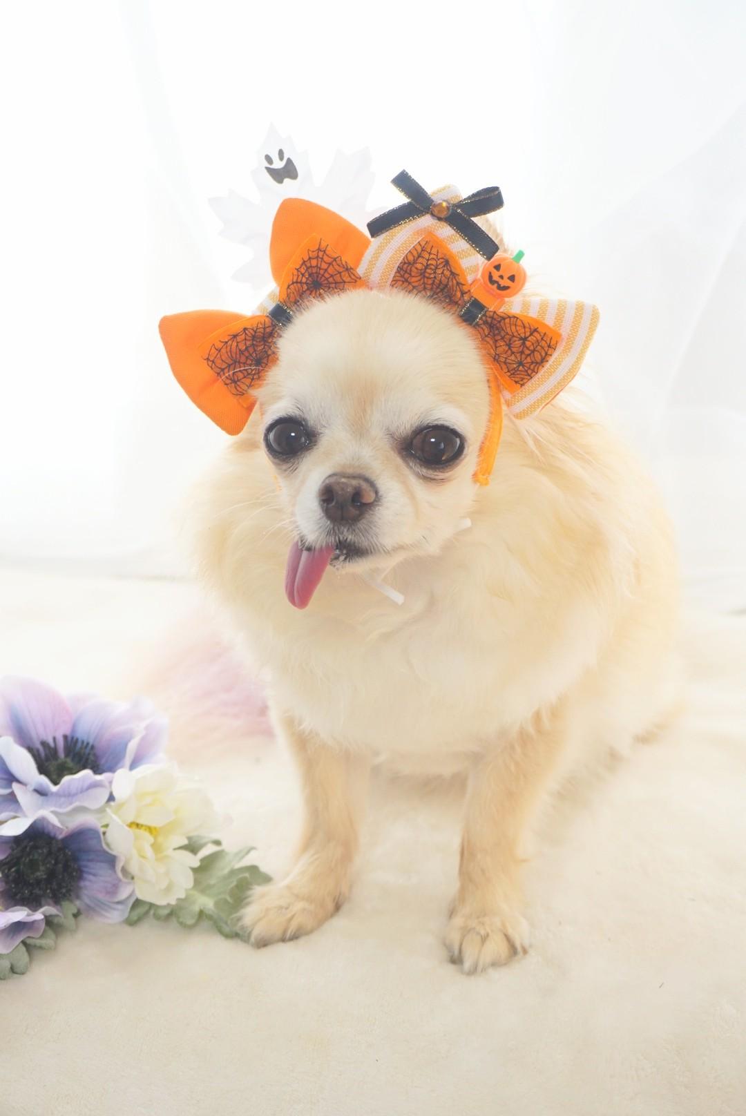 ハロウィンカチューシャ ORANGEの商品画像