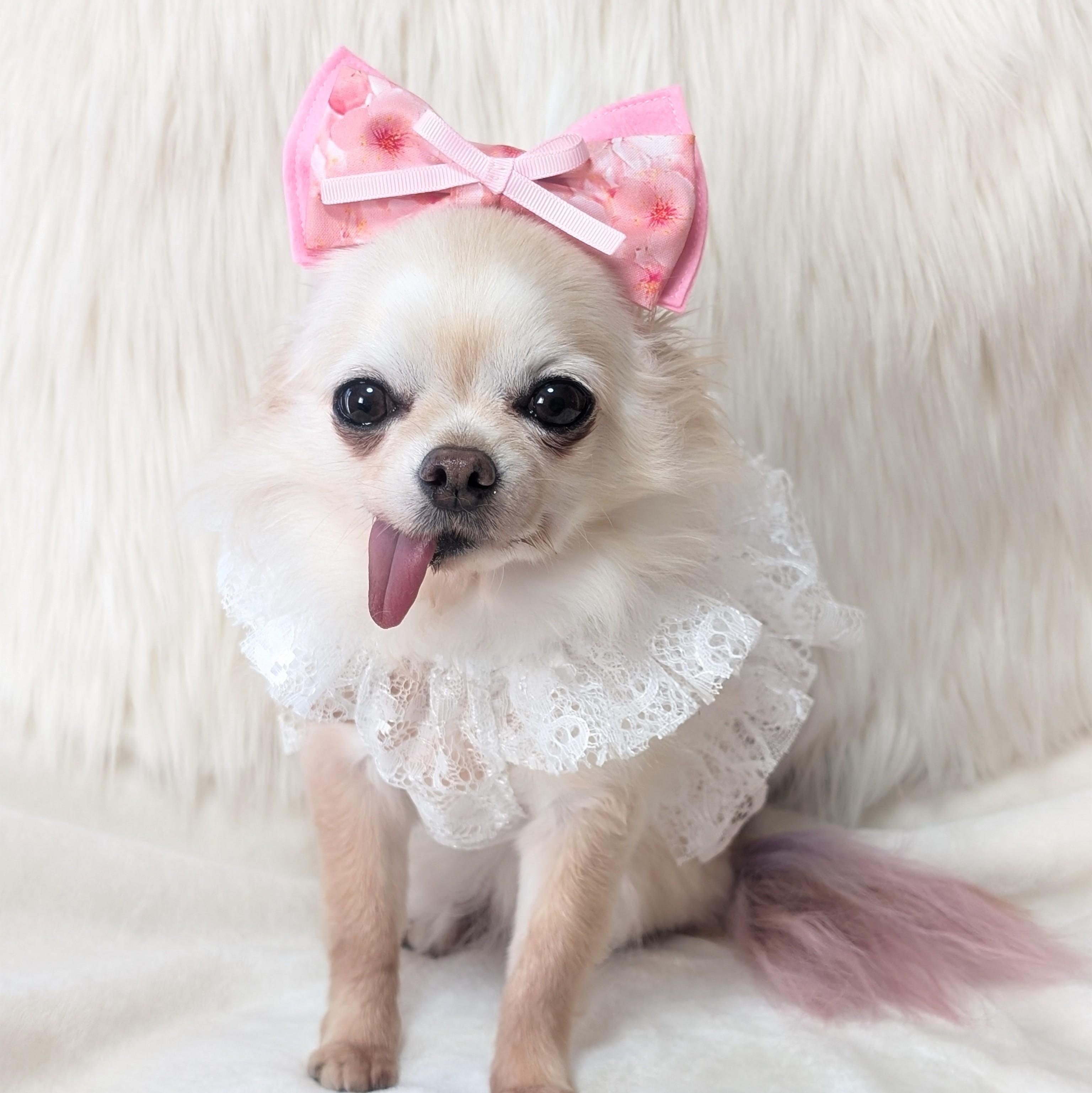 さくらカチューシャの商品画像