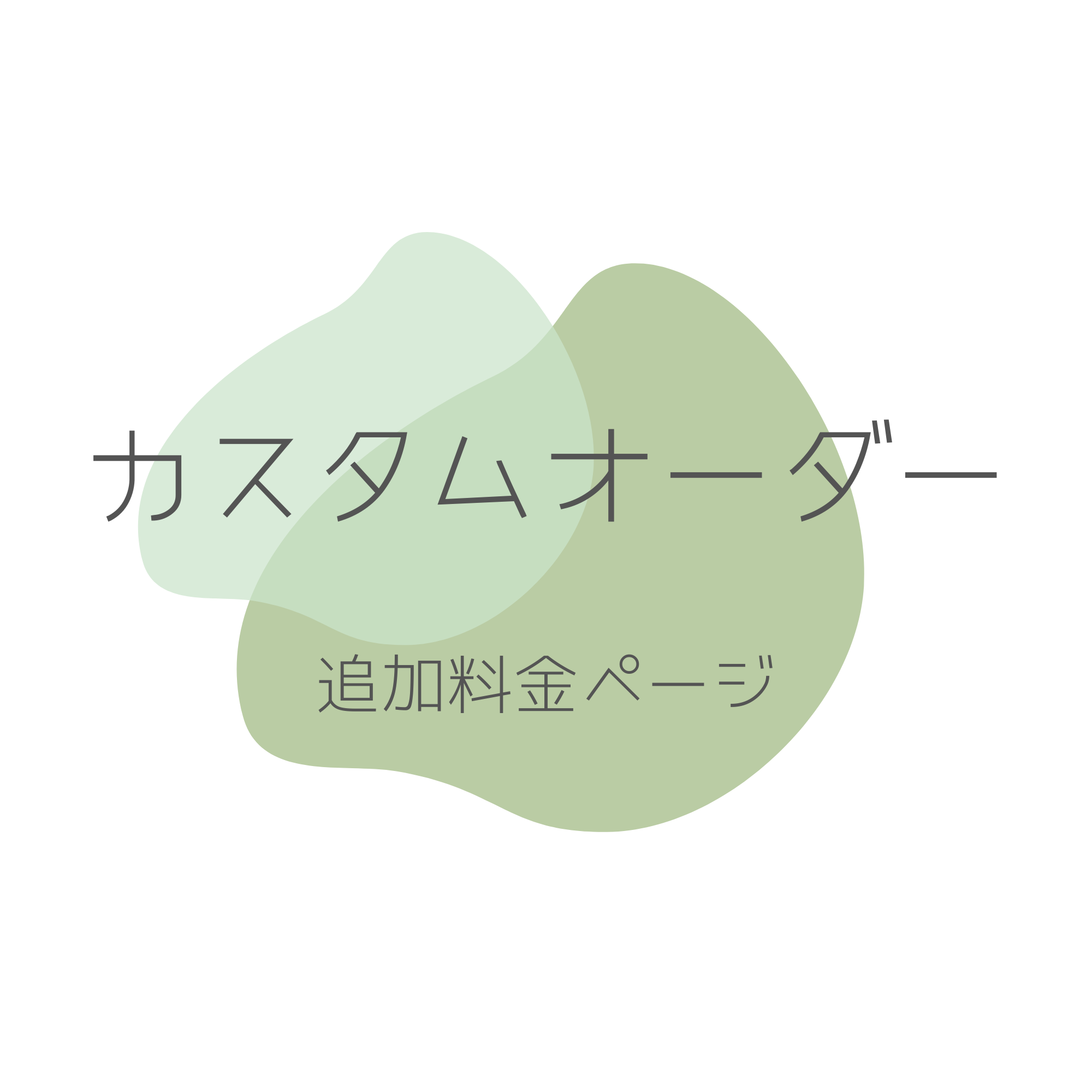 カスタムオーダー追加料金の商品画像