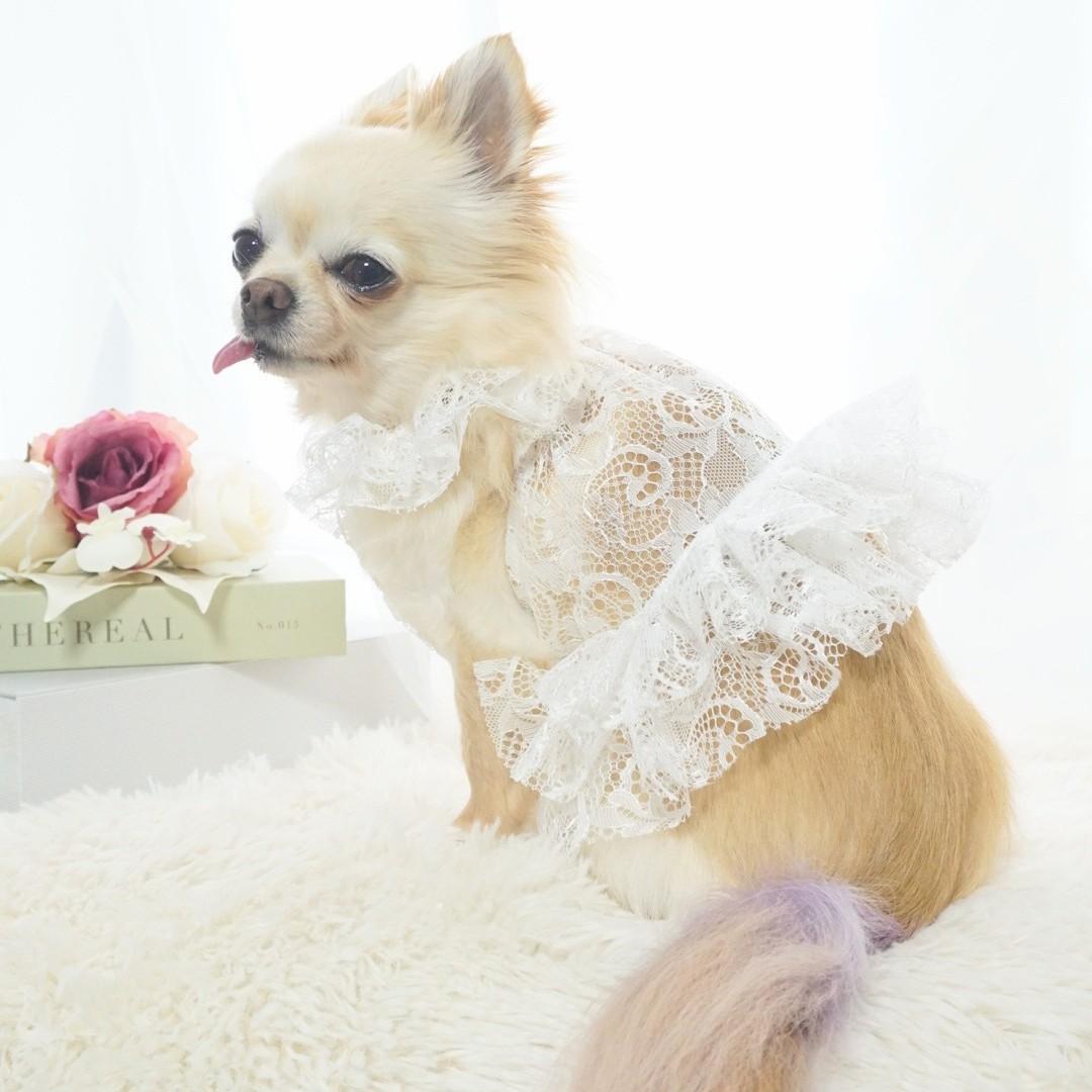 レースビスチェ　Whiteの商品画像