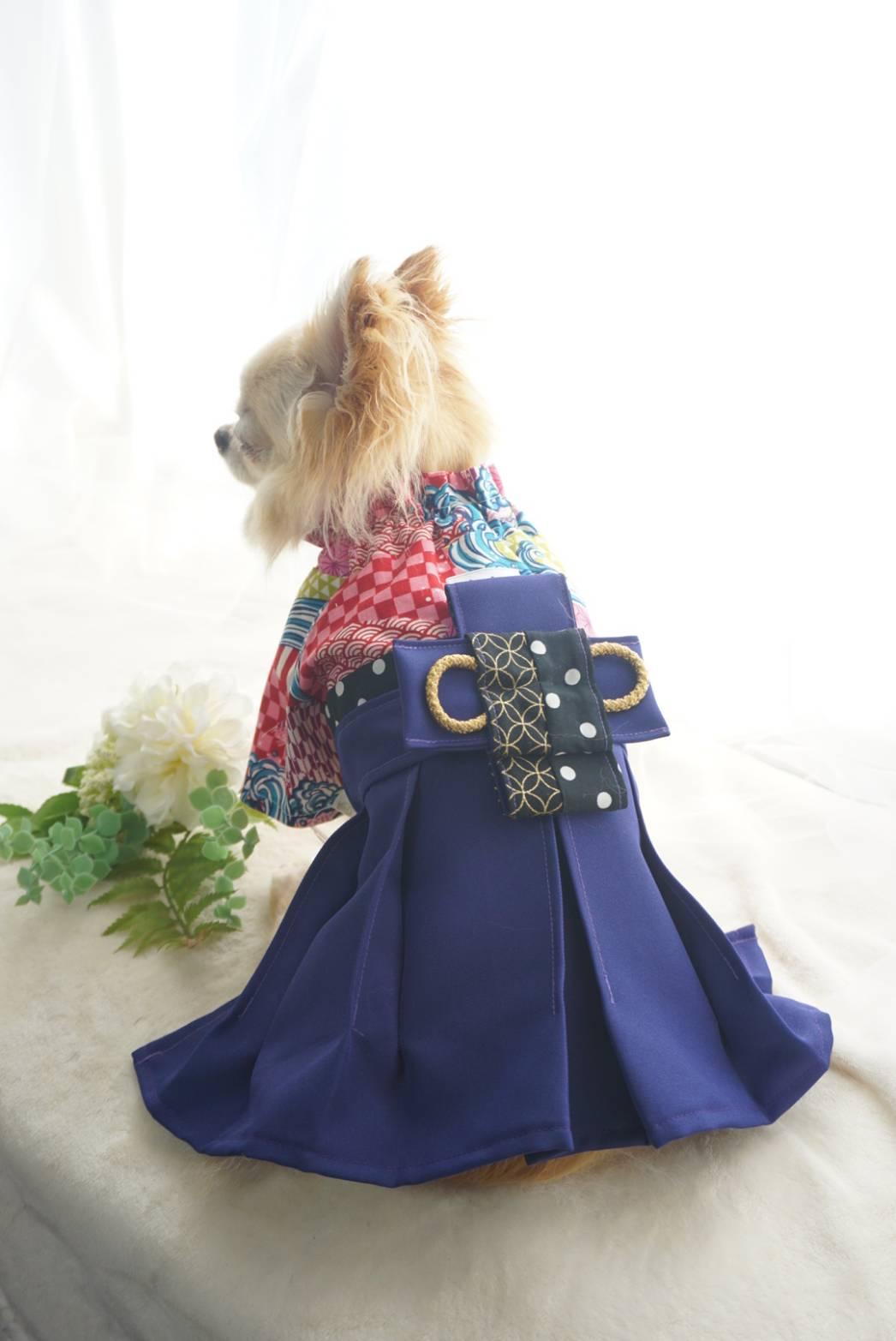 2026チュニック型わんこの袴 Purpleの商品画像