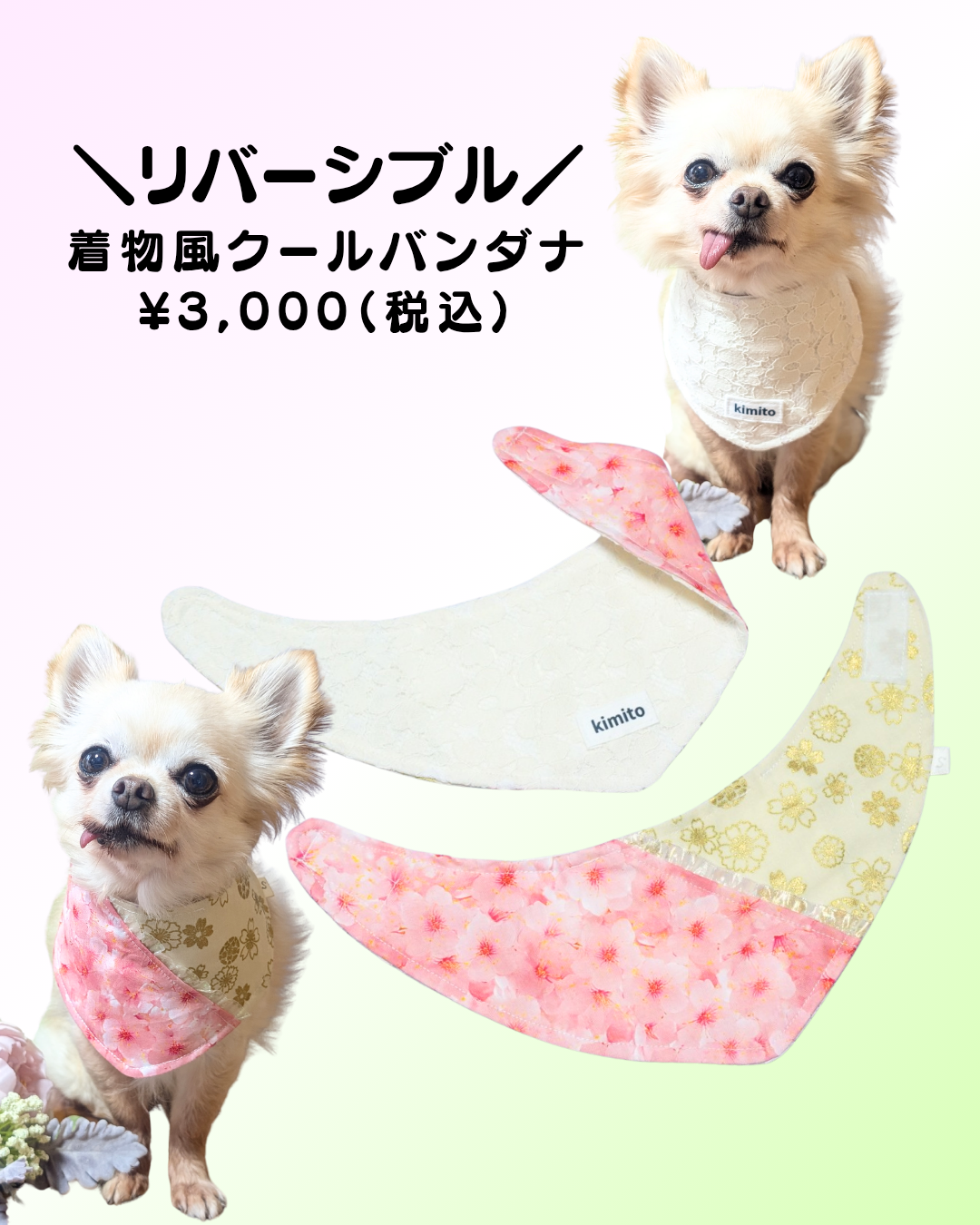 着物風隠しポケット付きリバーシブルバンダナ（桜×レース）の商品画像