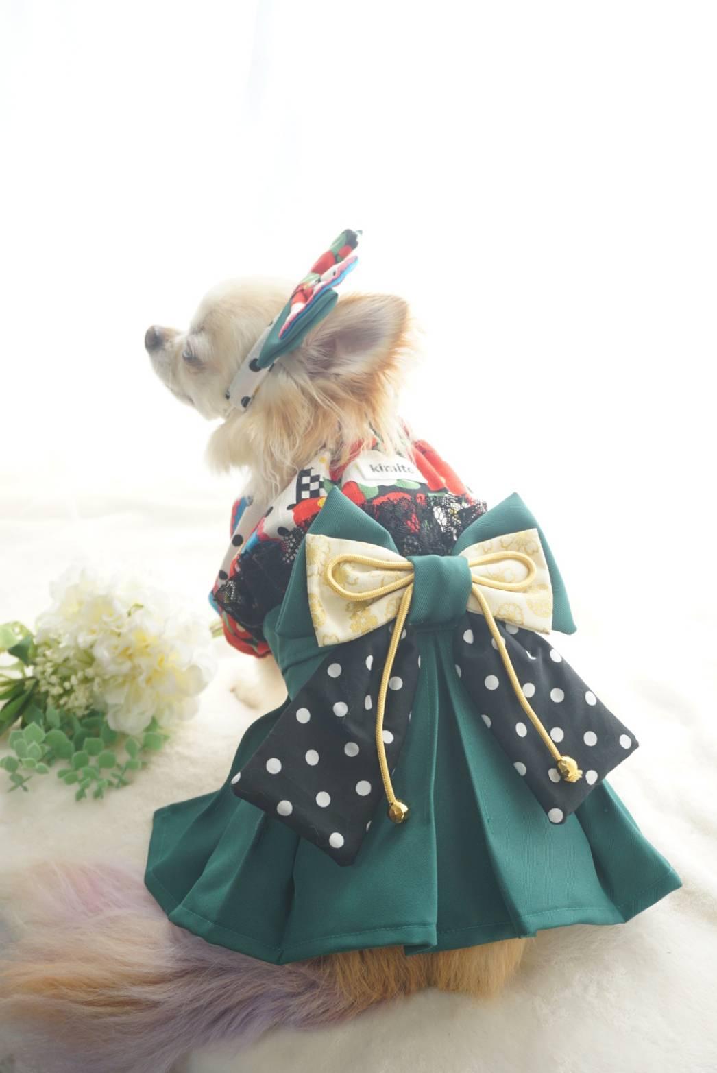 2026チュニック型わんこの袴 Greenの商品画像