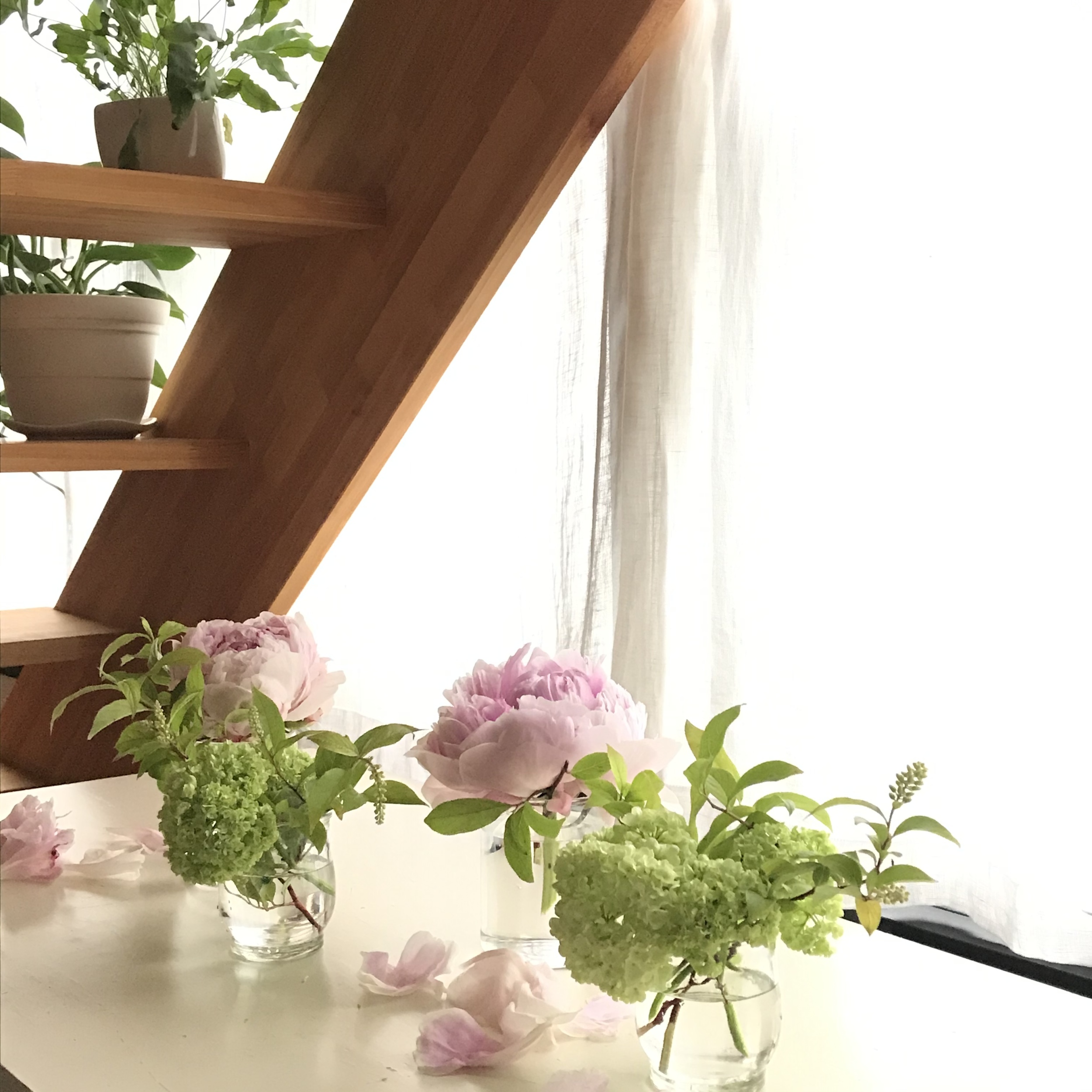 京都 フラワーアレンジメント教室 月ノヒナタ 花活けコース 花活けレッスン 花びん活け 生け花 暮らしの花活けコースご案内