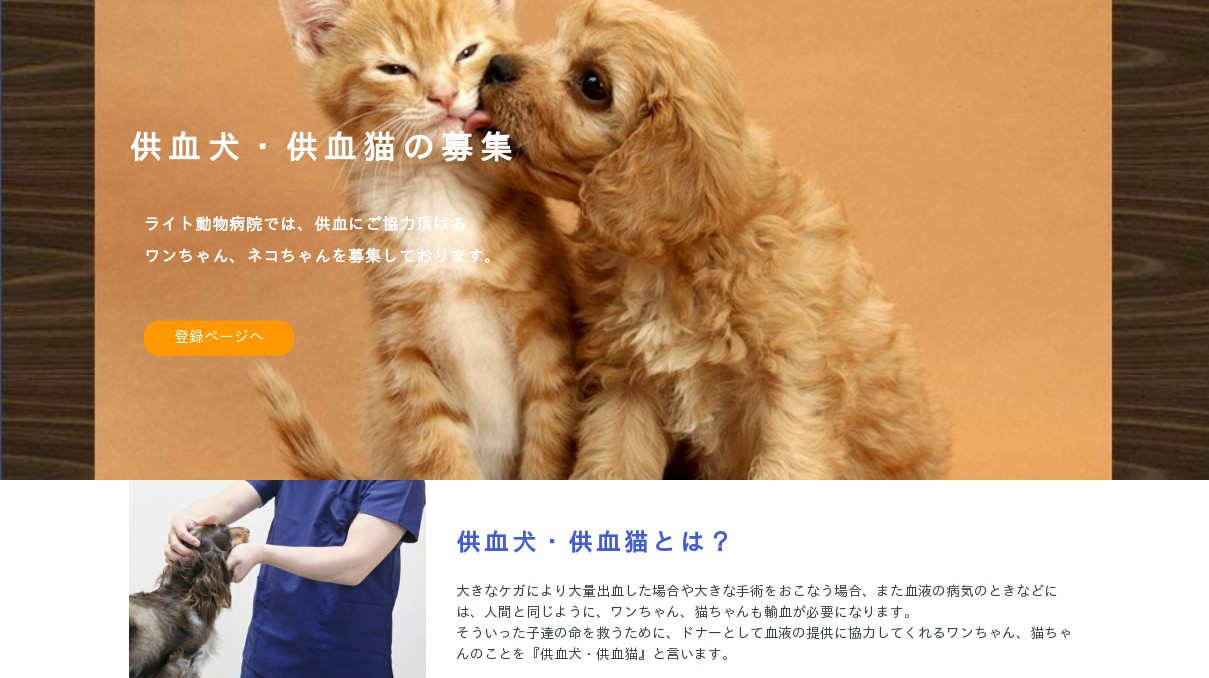 犬と猫の輸血 Amazon.co.jp: 犬と猫の輸血 : 本