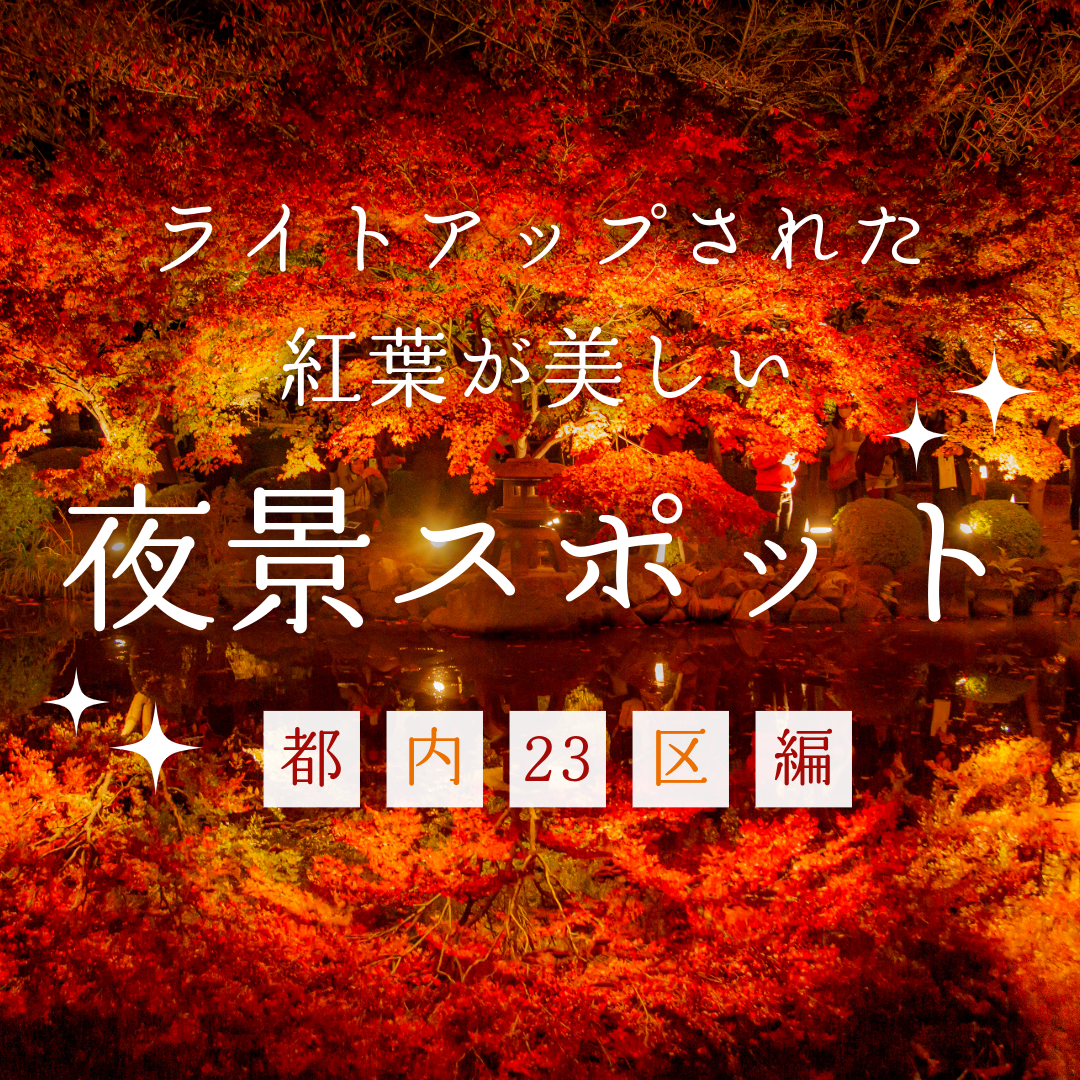 kotobukigo.com　アルファード　ハイエース　グランドキャビン　少人数　グループ　プライベートツアー　貸切ハイヤー　富士山　箱根　寿交通株式会社　ハイヤー送迎　三鷹　東京観光　成田空港　羽田空港　出張送迎　ファミリーツアー　団体ツアー　空港送迎　観光　研修旅行　コーディネート　東京ハイヤーサービス  空港送迎 成田 羽田  東京プライベートツアー  東京観光ハイヤー  ゴルフ送迎 東京  貸切ハイヤー  冠婚葬祭 送迎  高級車送迎  アルファード ハイヤー  ハイエース グランドキャビン 送迎  ビジネス送迎 東京  VIP送迎サービス  東京駅 送迎  ディズニーランド 送迎  会社役員専用送迎  役員車サービス  法人向けハイヤー  大人数送迎 東京  東京シャトルサービス  観光貸切車  ゴルフ場送迎 車  結婚式 送迎  葬儀 送迎車  東京ナイトツアー  成田空港送迎定額  羽田空港ハイヤー定額  インバウンド向けハイヤー  英語対応ドライバー  韓国語対応ドライバー  中国語対応ドライバー  外国人観光客 東京送迎  空港ホテル送迎  出張 ハイヤーサービス  接待用送迎車  東京近郊観光貸切  日光 観光貸切  富士山ツアー送迎  箱根温泉ツアー送迎  ゴルフバッグ対応車両  東京貸切観光タクシー  高級ミニバン送迎  東京ビジネスハイヤー  安全安心ハイヤー  ドアtoドア送迎  高齢者送迎サービス  法人契約ハイヤー  東京送迎サービス  24時間予約可能ハイヤー  高級プライベート送迎