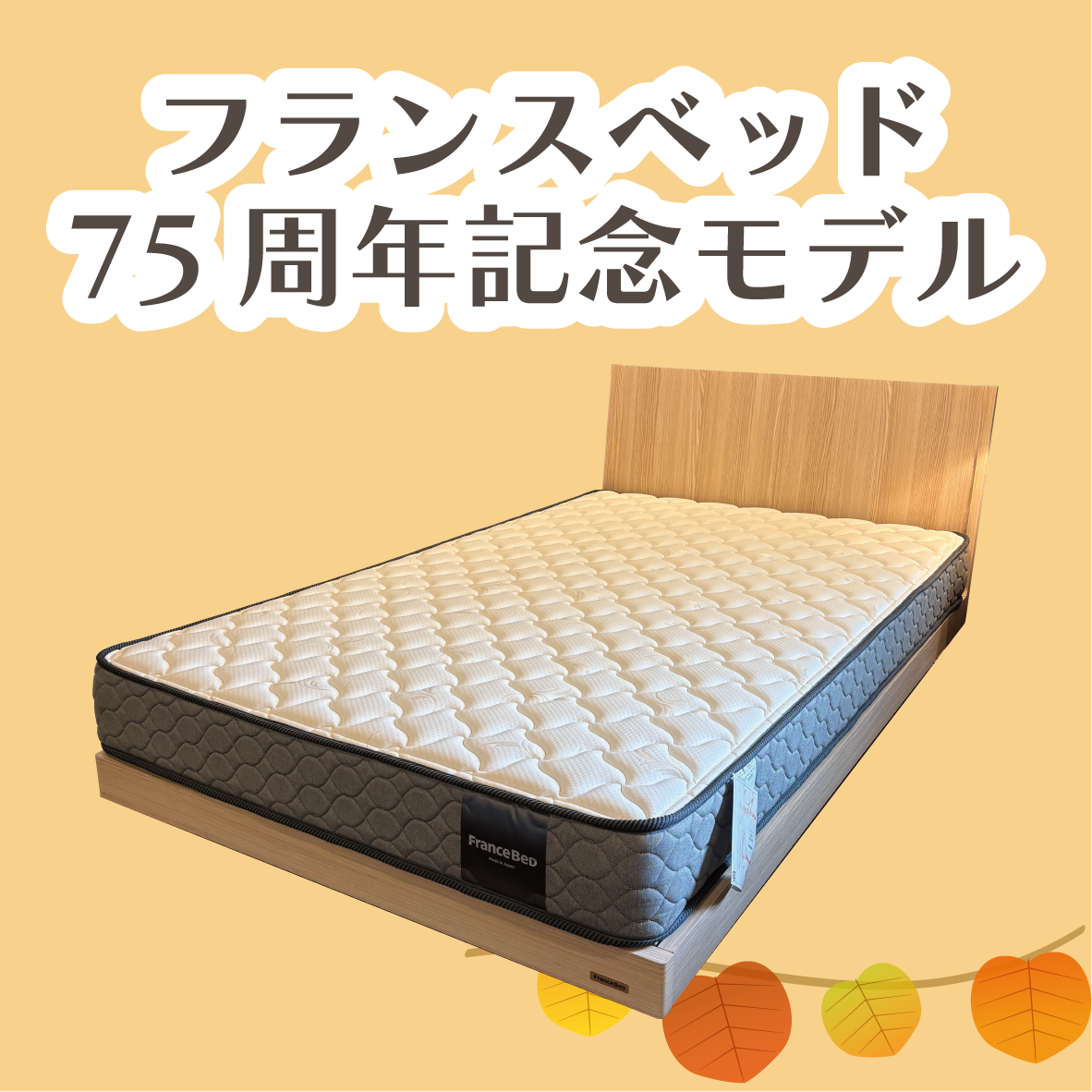 盛岡店 おすすめダイニングセット②