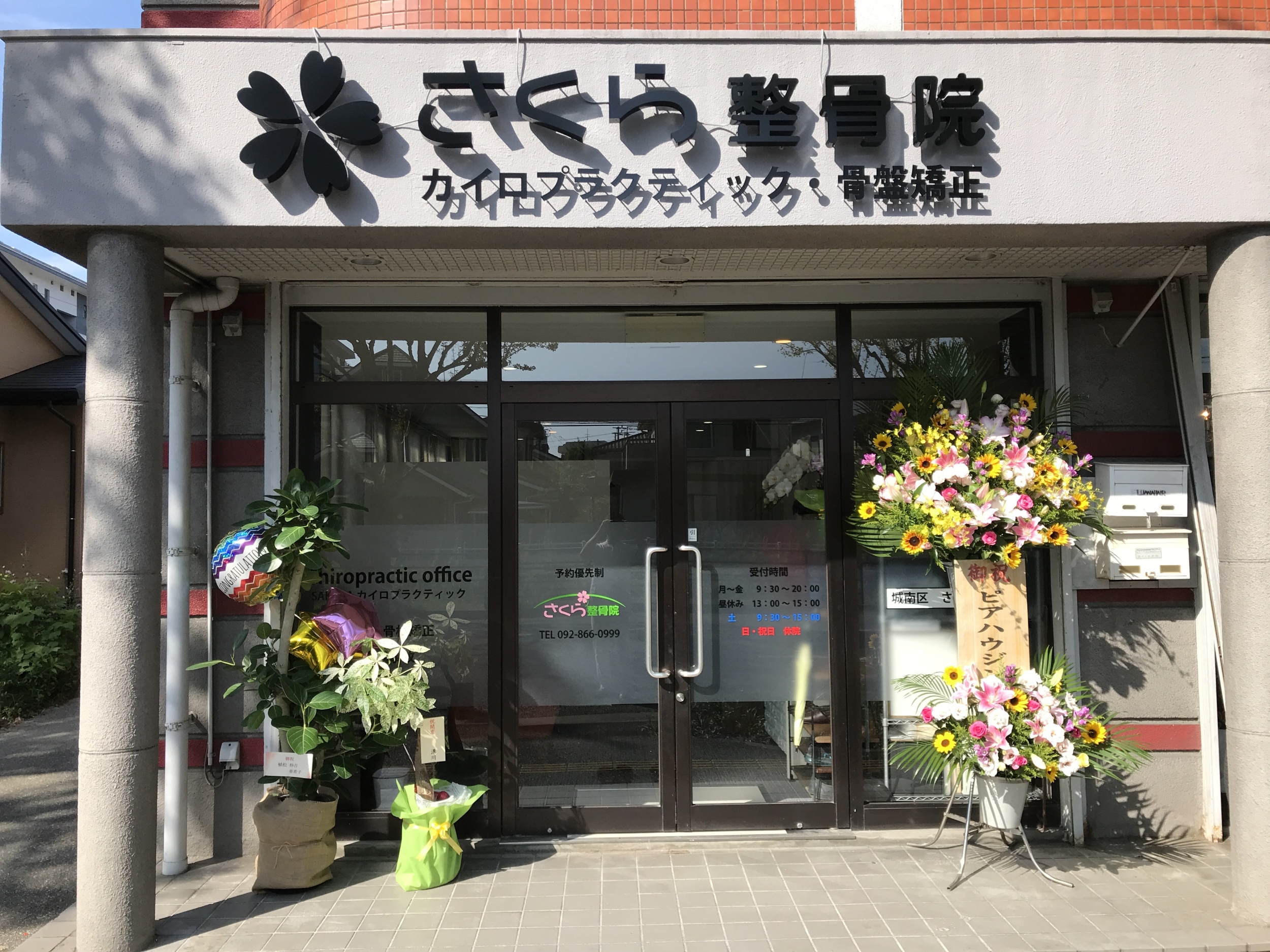 カイロプラクティック【福岡県城南区さくら整骨院・さくら福岡整体院