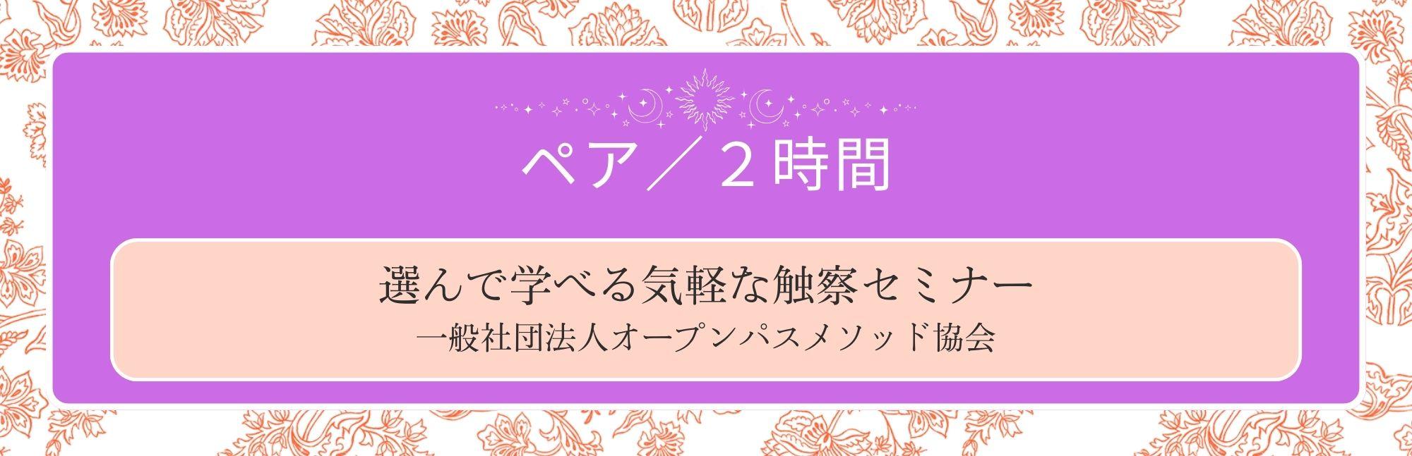 触察単発セミナー２時間／ペア参加の商品画像