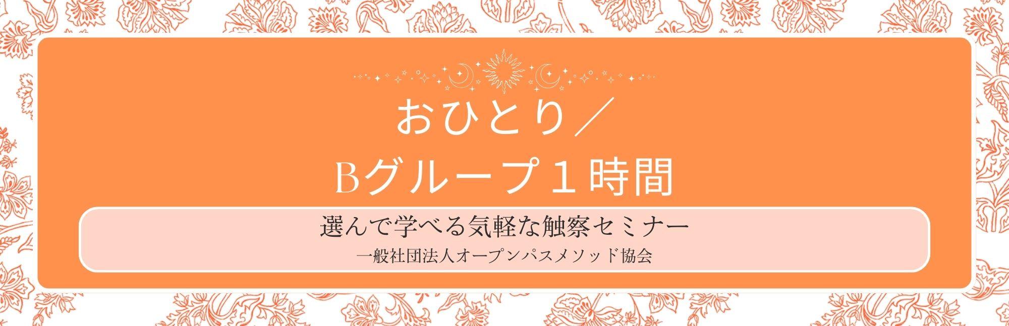 触察単発セミナー1名参加１時間／Bグループ １筋選択の商品画像