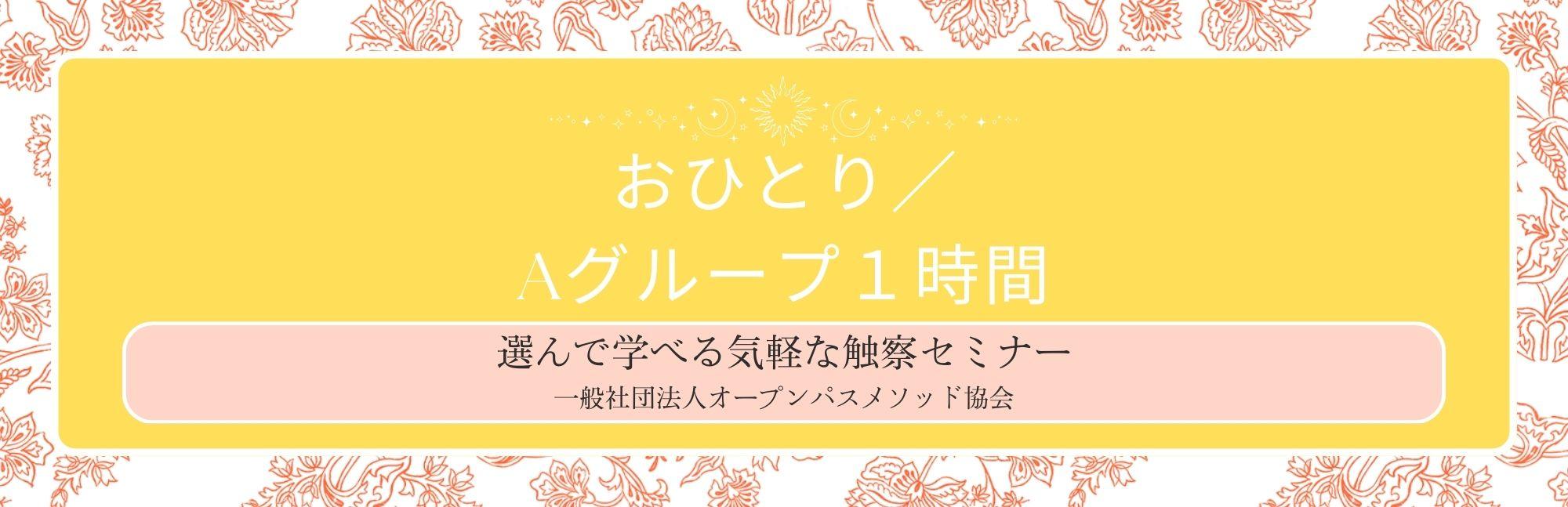 触察単発セミナー1名参加１時間／Aグループの商品画像