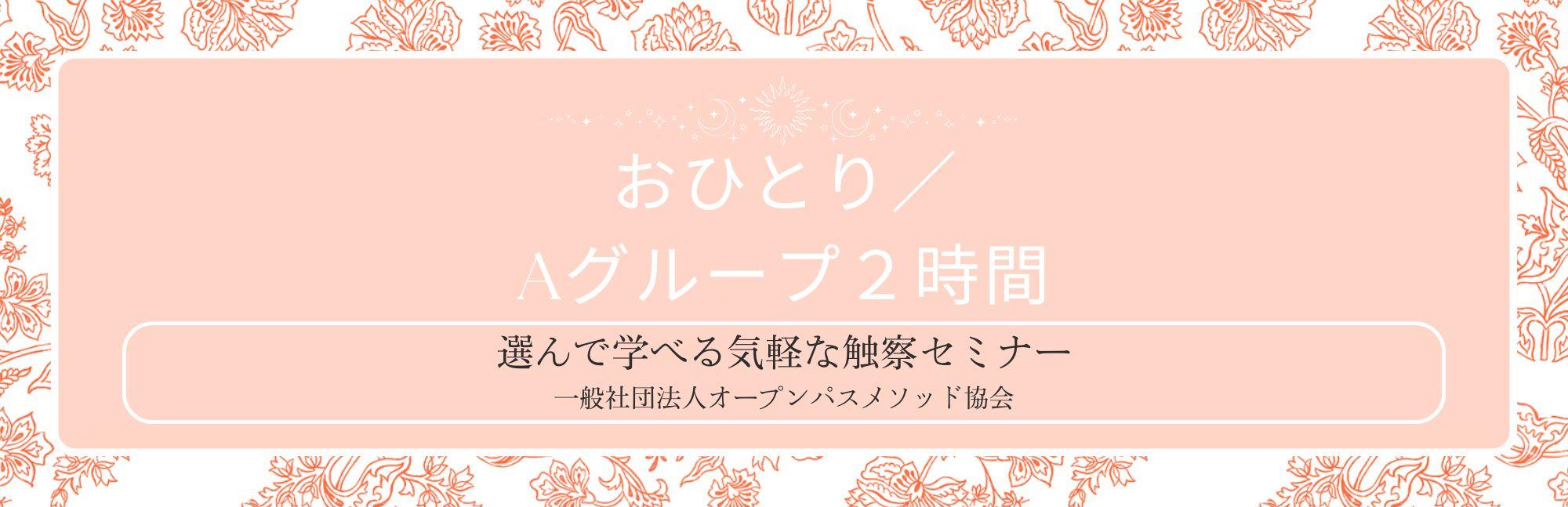 触察単発セミナー２時間／１名参加Aグループの商品画像