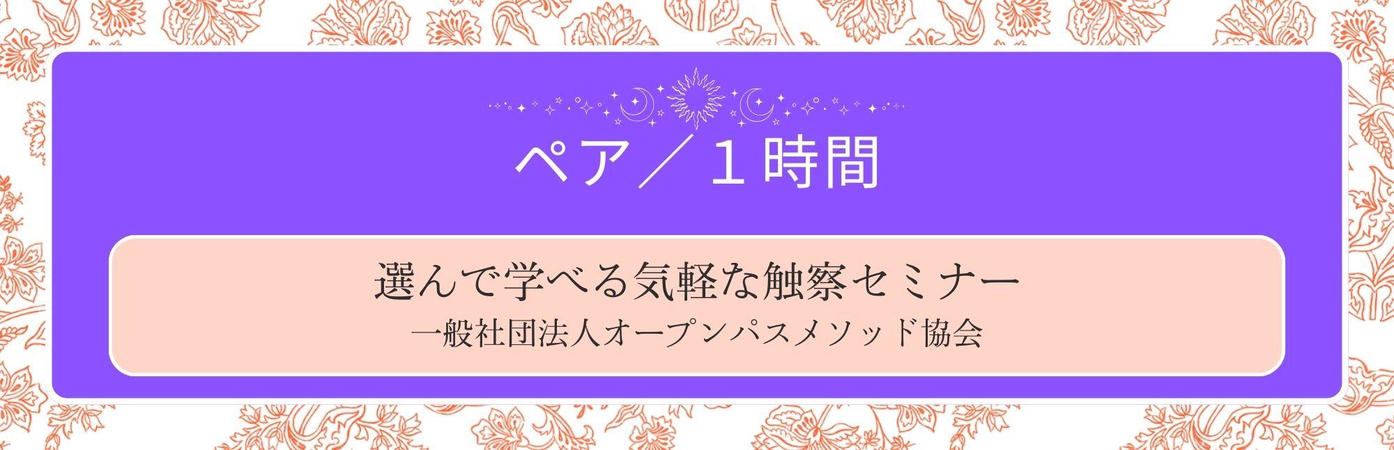 触察単発セミナー１時間／ペア参加の商品画像