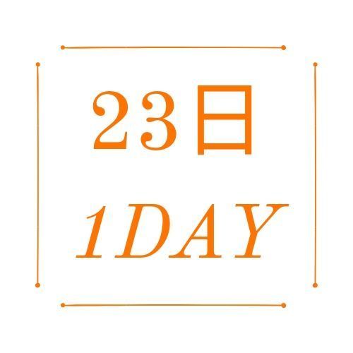 11/23 1day