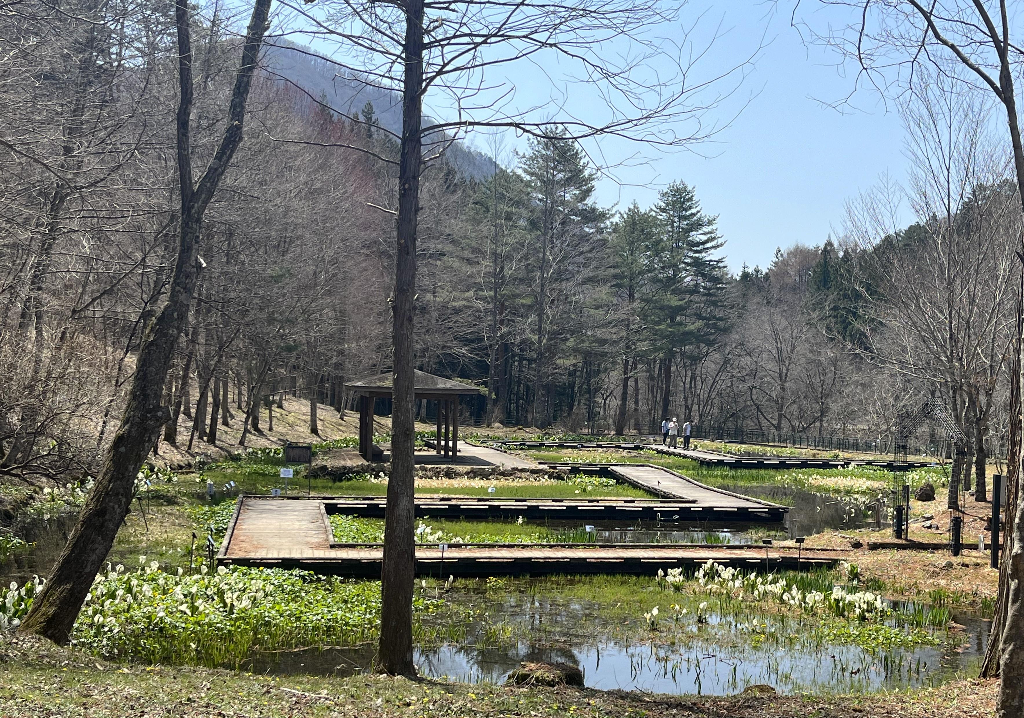 標高1000mの天空庭園