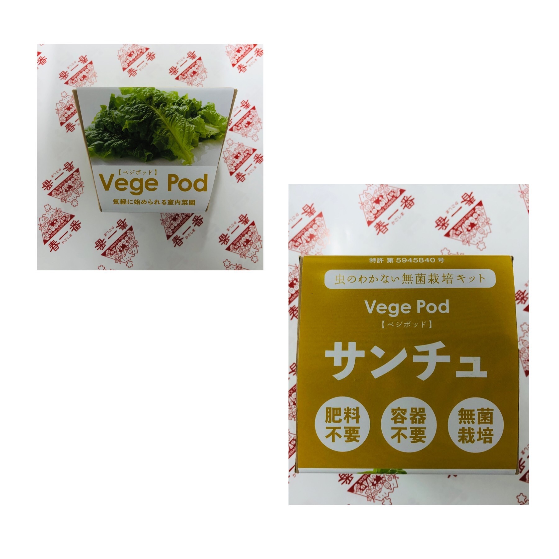 Vege Pod