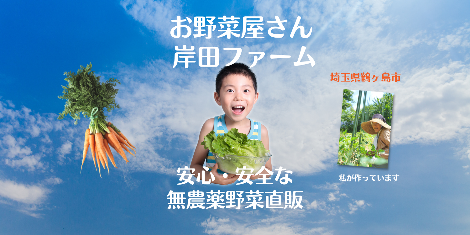 鶴ヶ島の無農薬野菜　お野菜屋さん岸田ファーム