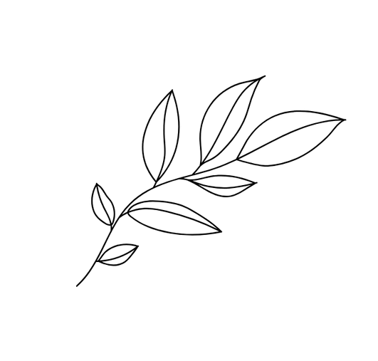 右下画像
