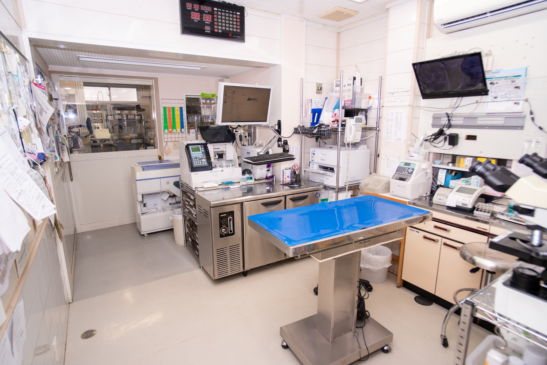 ヒマラヤン動物病院 獣医師求人