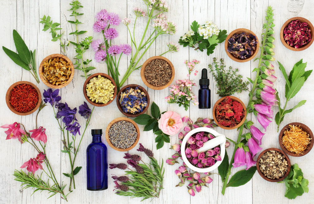 カウンセリング