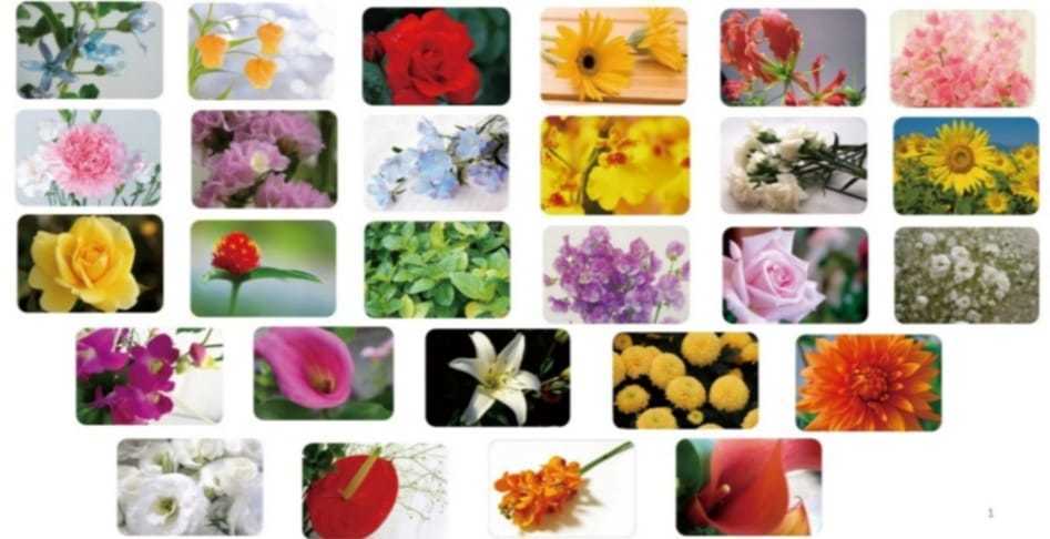 花セラピーで花と心について学ぶ 花セラピスト資格取得講座